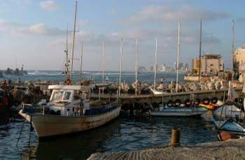 Jaffa - Photo by Alan Pitcher